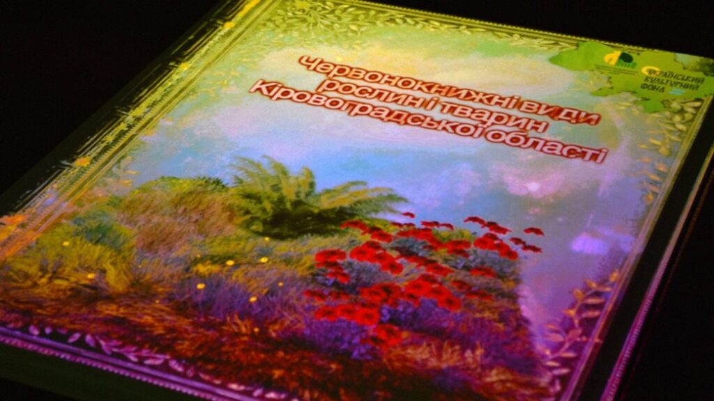 Музей для всіх”: Кропивницький робить культуру доступною